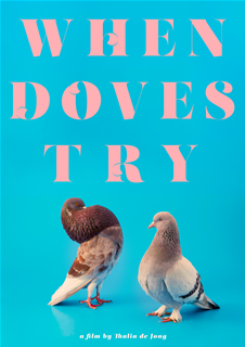 When Doves Try