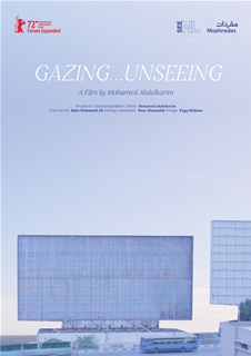 Gazing...Unseeing