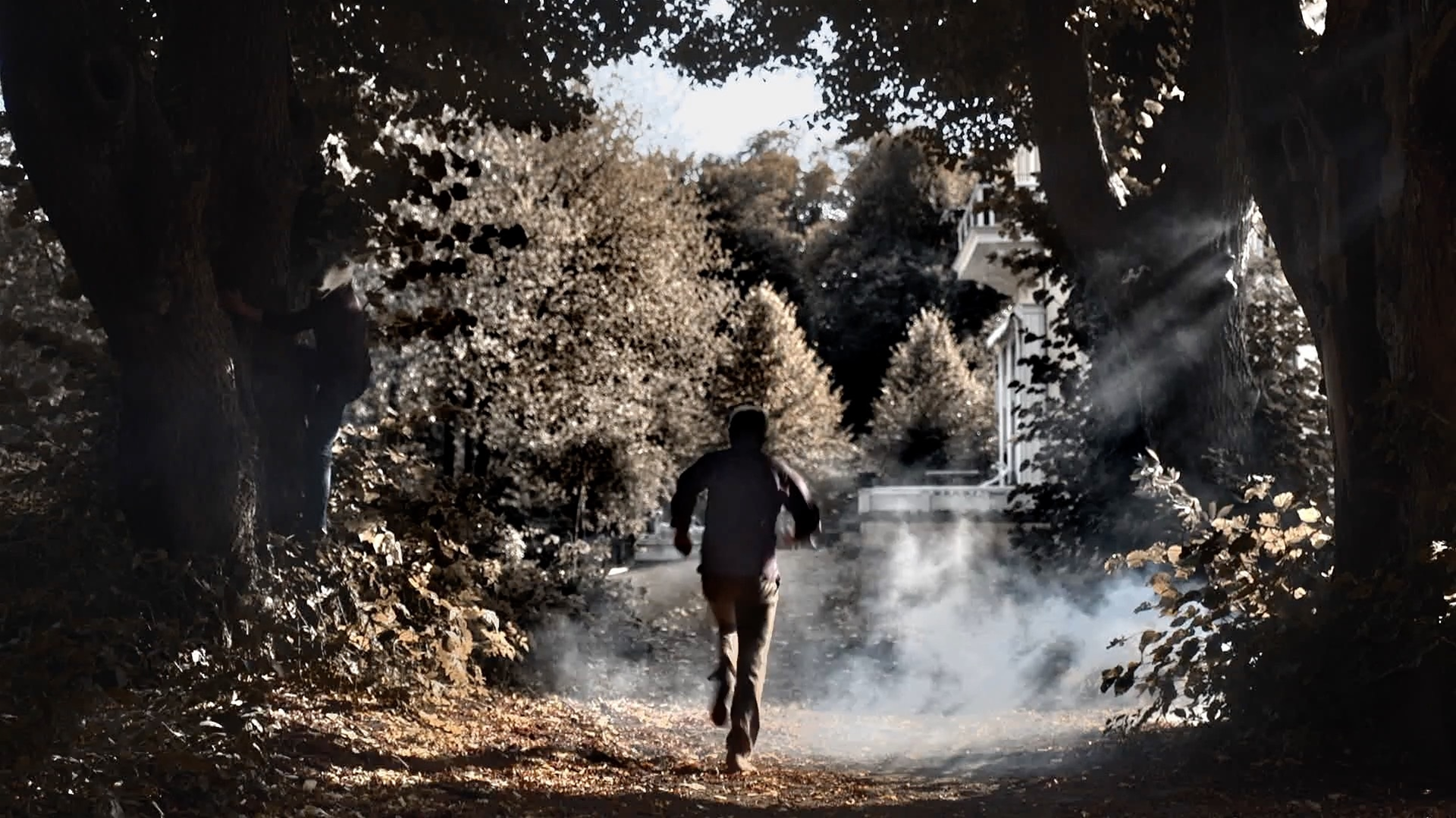 Whisper Wind - Humanwolf 