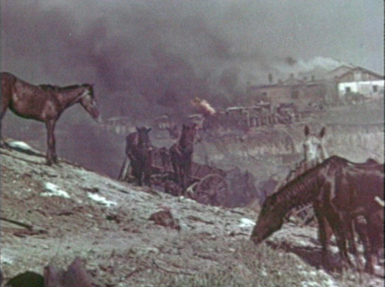 Turn Your Body to the Sun