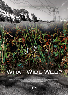 What Wide Web?