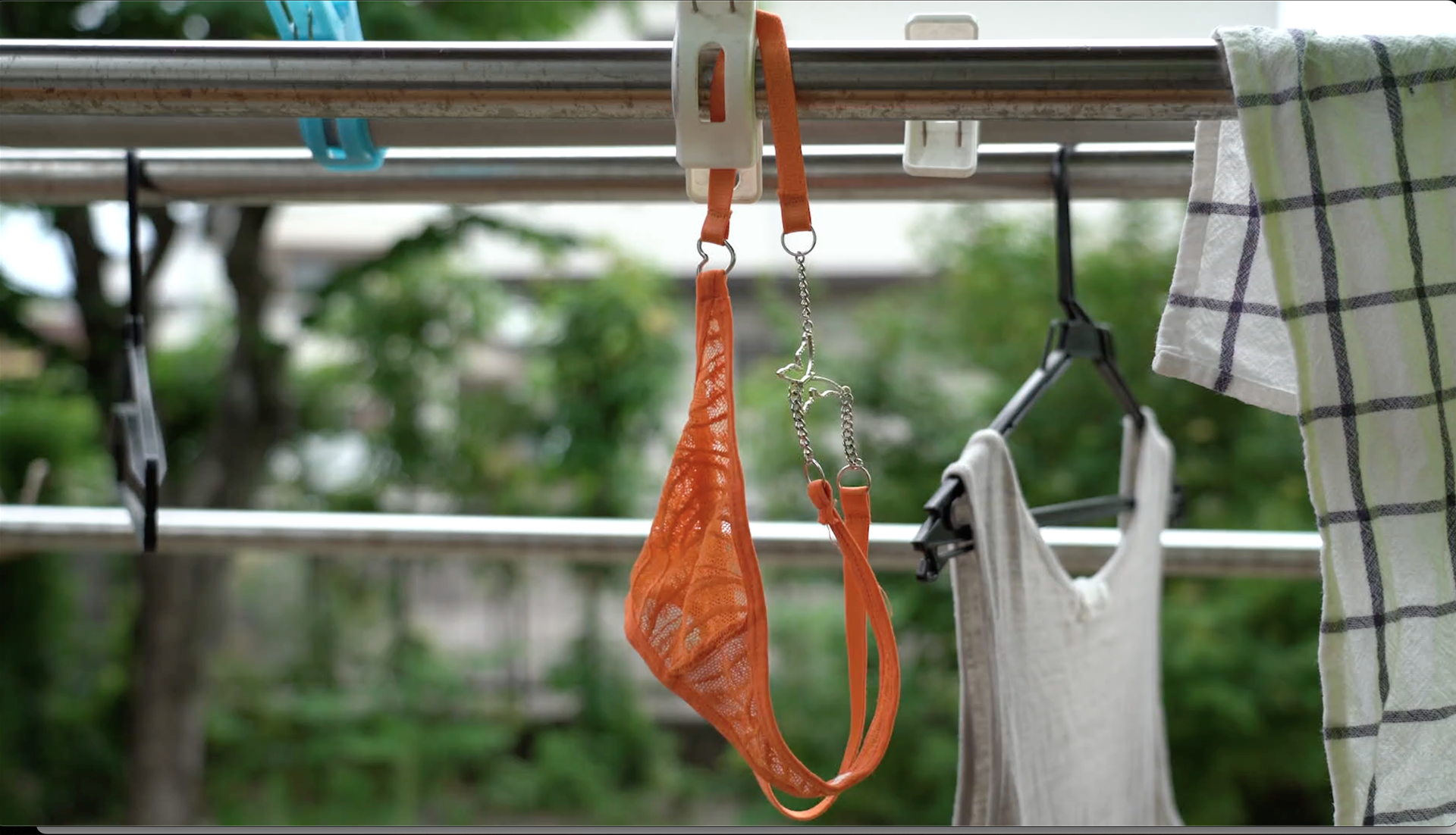 How To Catch A Butterfly