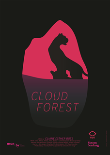 Cloud Forest