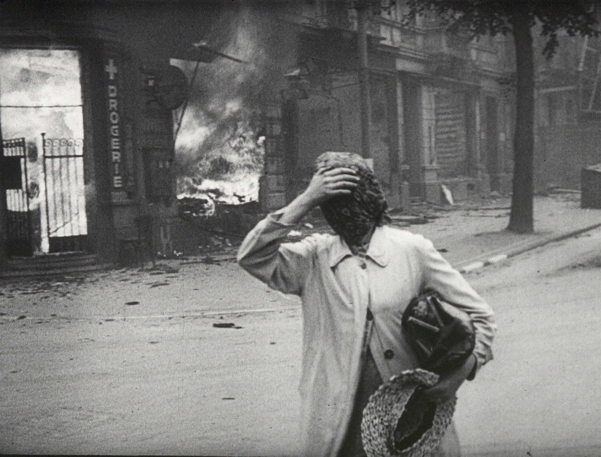 The Natural History of Destruction