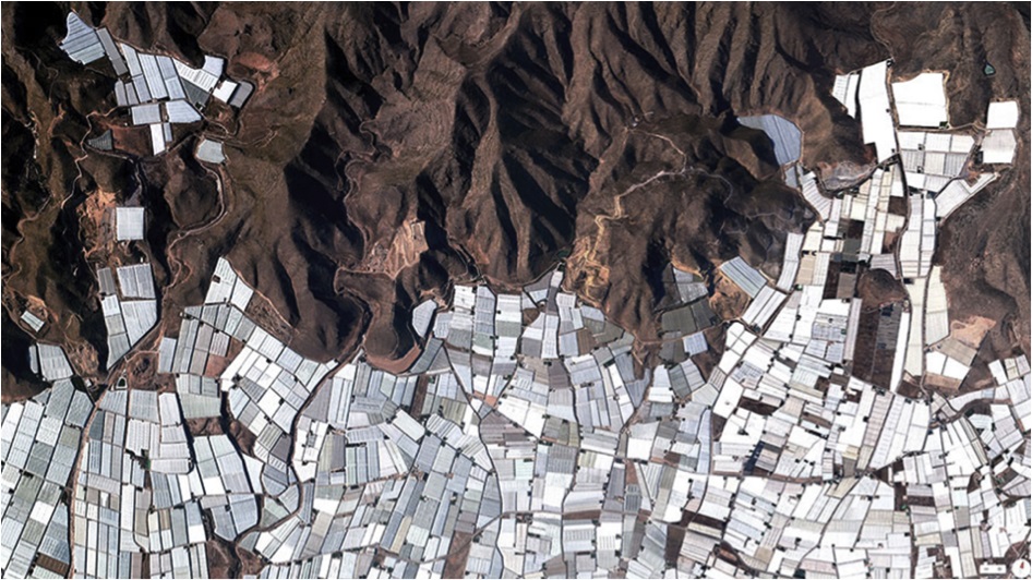 The Miracle of Almeria