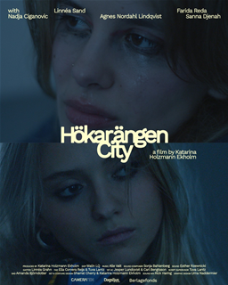 Hökarängen City