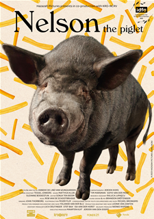 Nelson the piglet