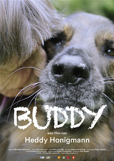 Buddy