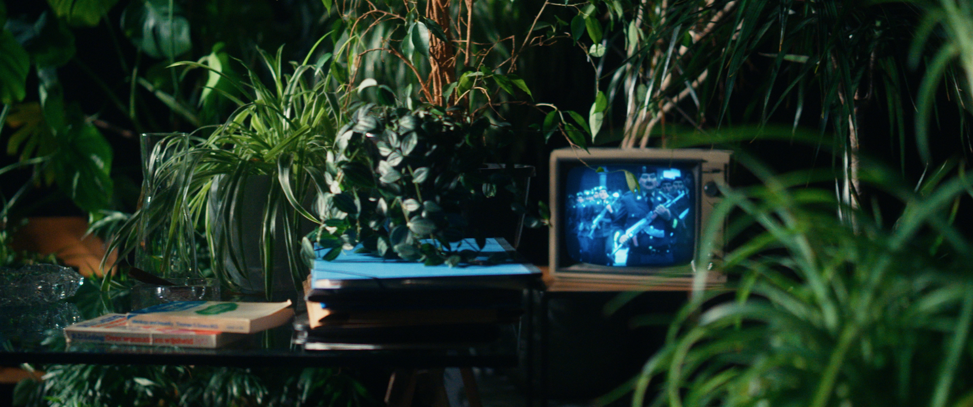 The Desert of the Real