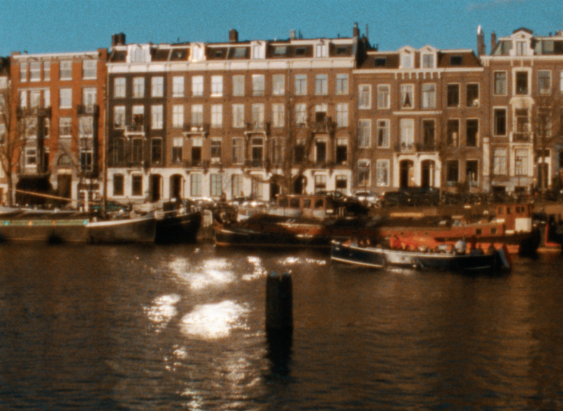 Dear Shadow, My Old Friend