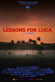 Lessons for Luca