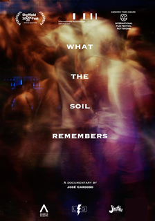 What the Soil Remembers