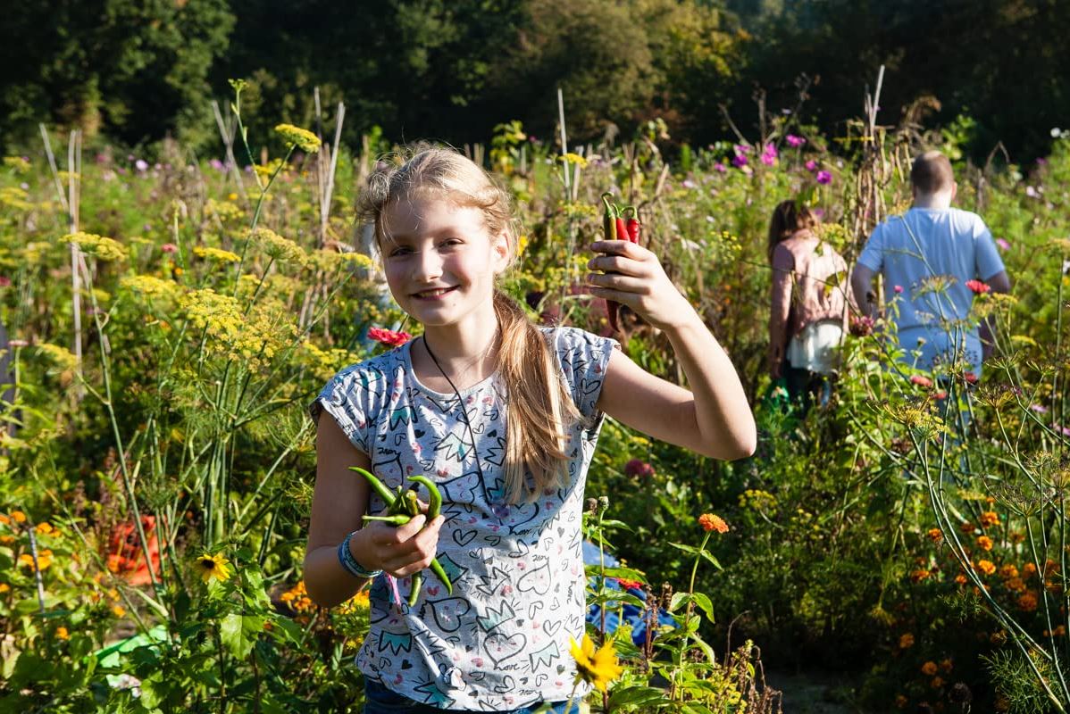 The School Garden