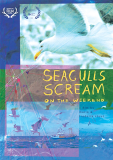 Seagulls Scream on the Weekend