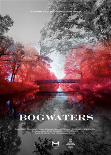 Bogwaters